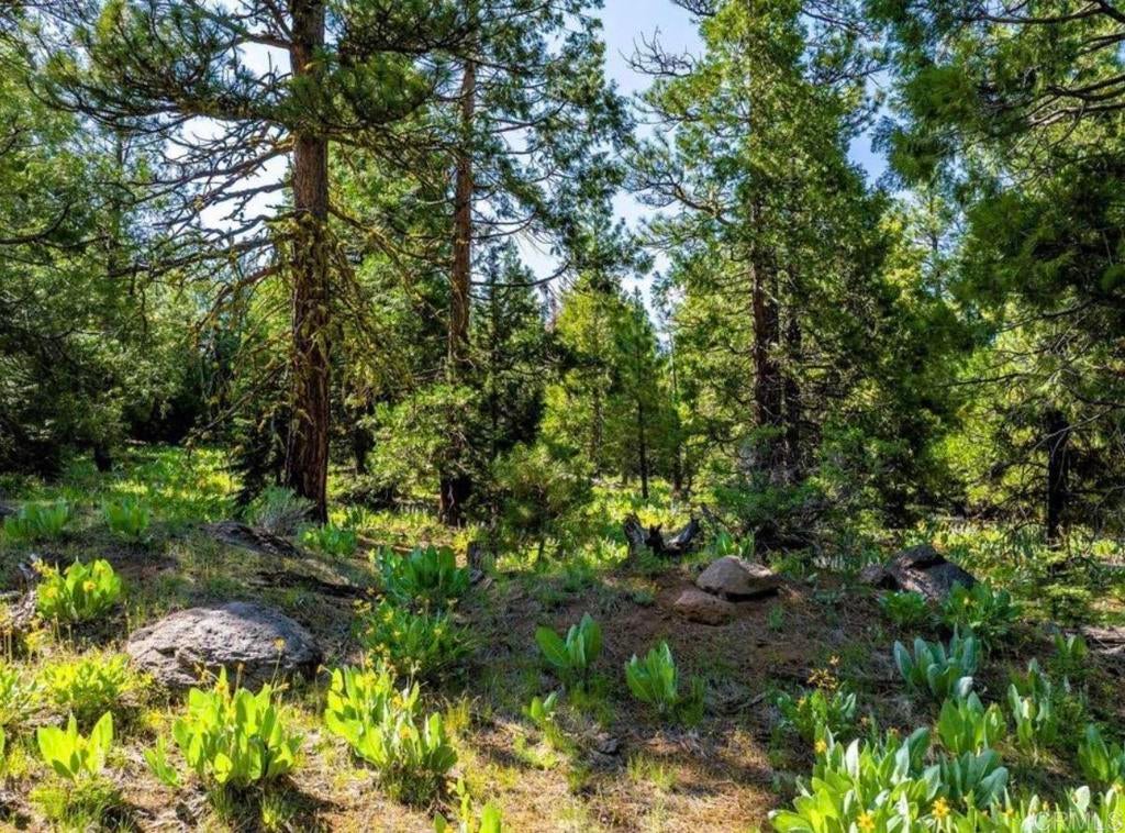 123 Glacier Dr Glacier Dr Alturas, CA 96101 Road