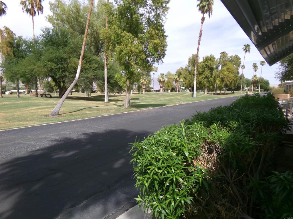 1010 Palm Canyon Drive 55