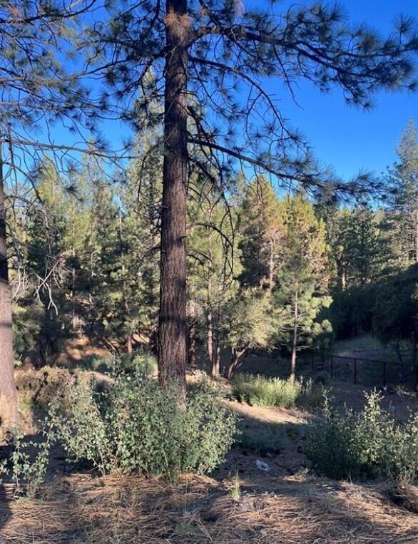 Photo 1 of 9 — 545 Division Drive, Big Bear, CA 92314