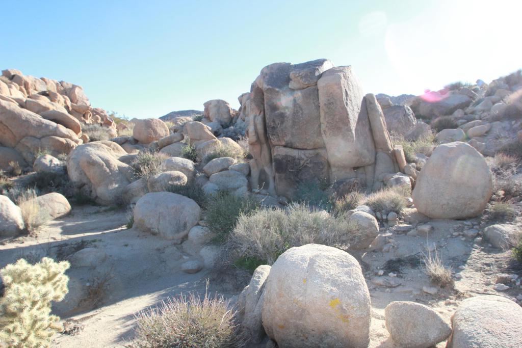 Not Applicable-1 - Land