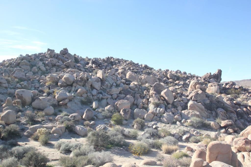 Not Applicable-1 - Land