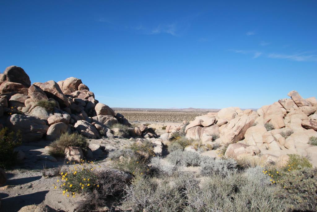 Not Applicable-1 - Land