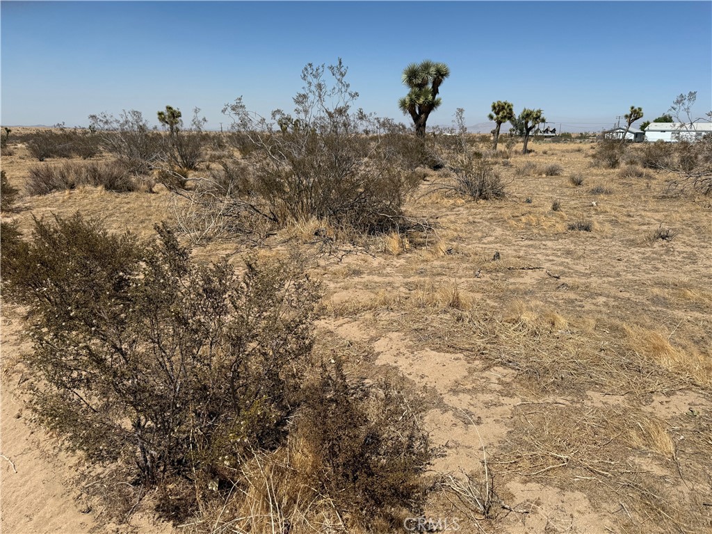 Water availability, Phelan 2.3 acres Approximate level lot near paved Wilson Ranch, house close by