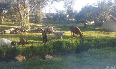 6490 Rainbow Heights Road Fallbrook CA 92028