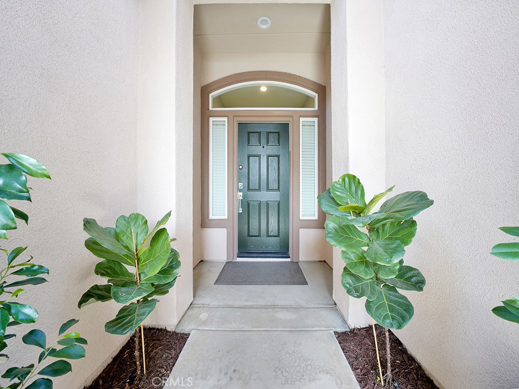 23897 Fawnskin Drive