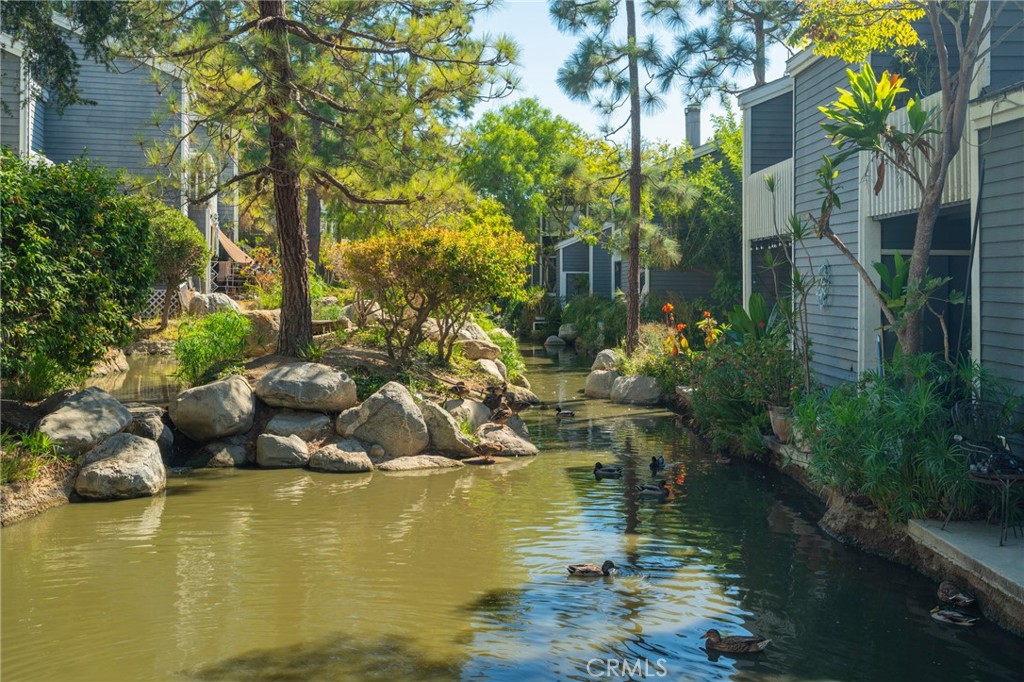 25613 Pine Creek
