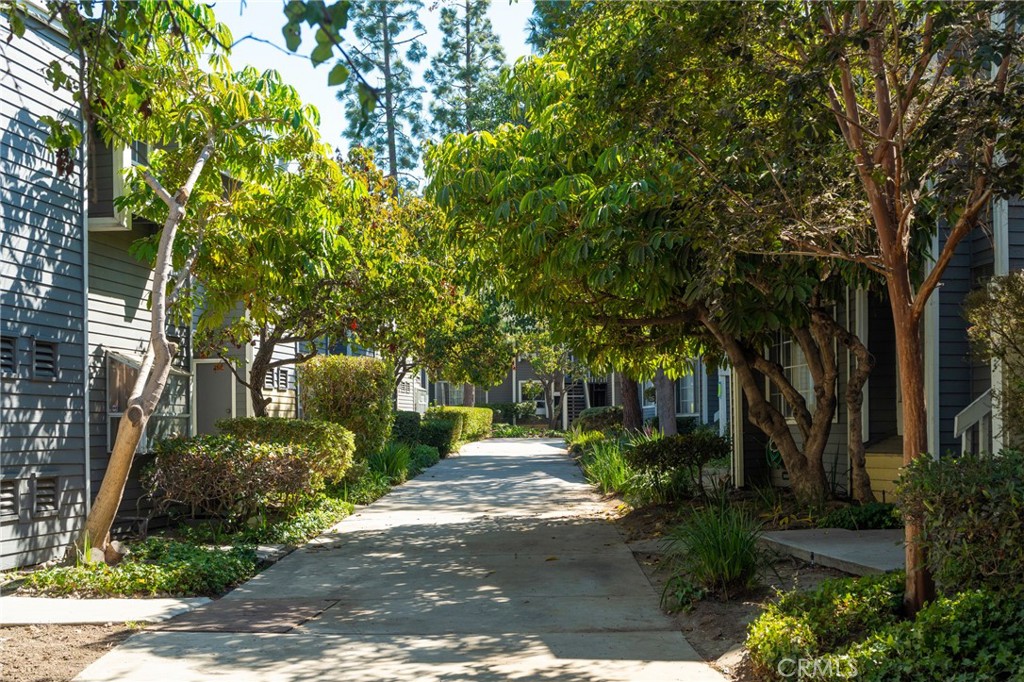 25613 Pine Creek