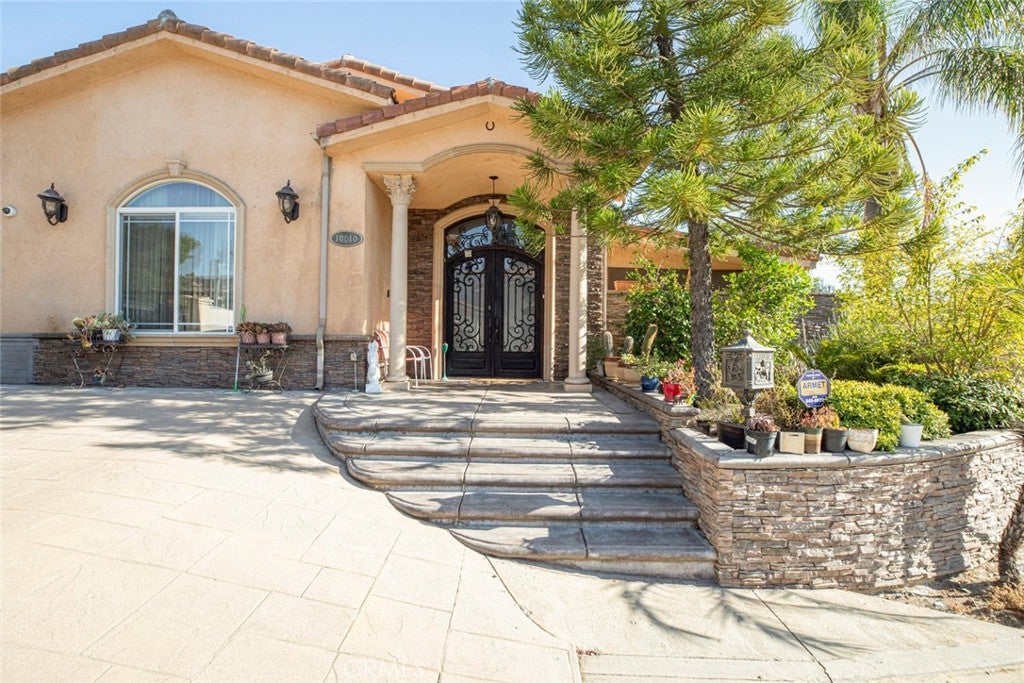 10610 Oak Tree