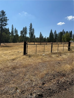 6479 PINE DR, COULTERVILLE, CA 95311 - Image 01e1cf780e4c3e9d4e18243b2785c659/588774013