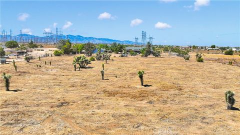 0 Bandicoot Trail Oak Hills CA 92344