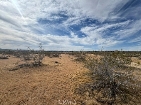Photo of 0 Artesia, Landers, CA 92285 (MLS # JT26077759)