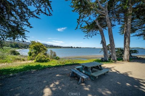 Tiny photo for 1408 3rd Street ST, Los Osos, CA 93402 (MLS # SC26114095)