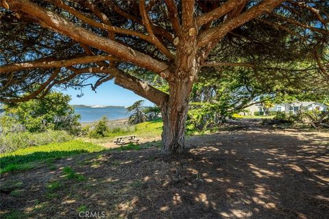 Tiny photo for 1408 3rd Street ST, Los Osos, CA 93402 (MLS # SC26114095)