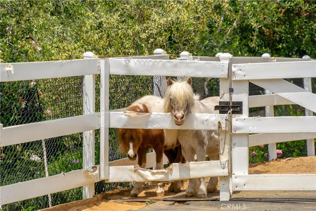 Hidden Hills, California 91302, United States, 5 Bedrooms Bedrooms, ,5 BathroomsBathrooms,Residential,Active,216365