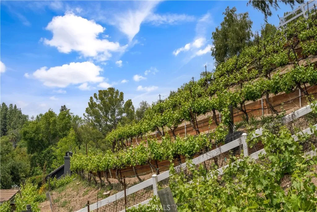 Hidden Hills, California 91302, United States, 5 Bedrooms Bedrooms, ,5 BathroomsBathrooms,Residential,Active,216365