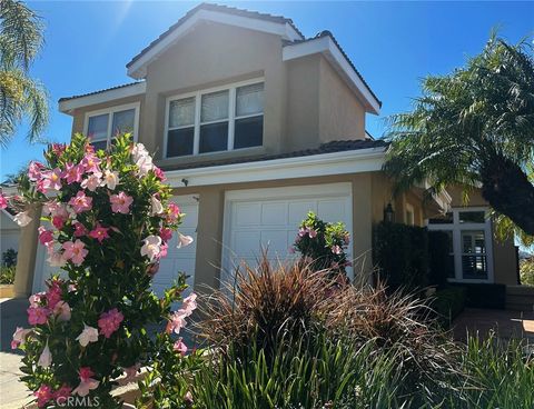 29021 Via Pasatiempo Laguna Niguel CA 92677