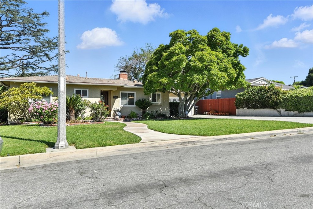 8507 Davista Drive