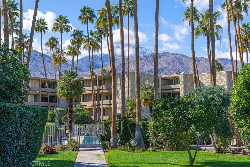2424 e palm canyon drive 2d