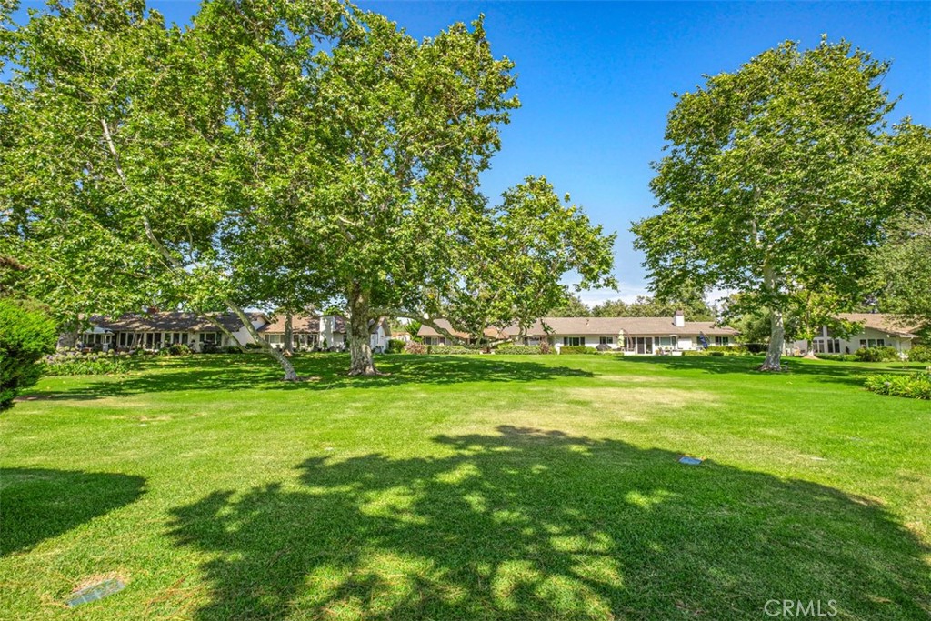 Bluffs Original (BORI) - Residential