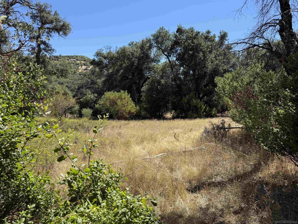 5909 Forest Meadow Road