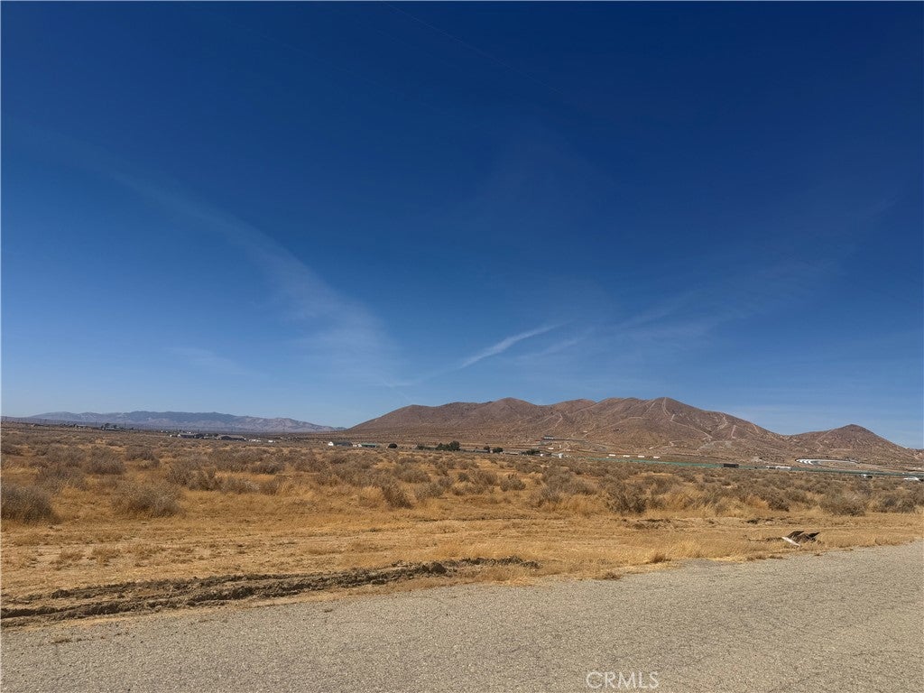 0 Horsethief Trail/Rosamond Blvd