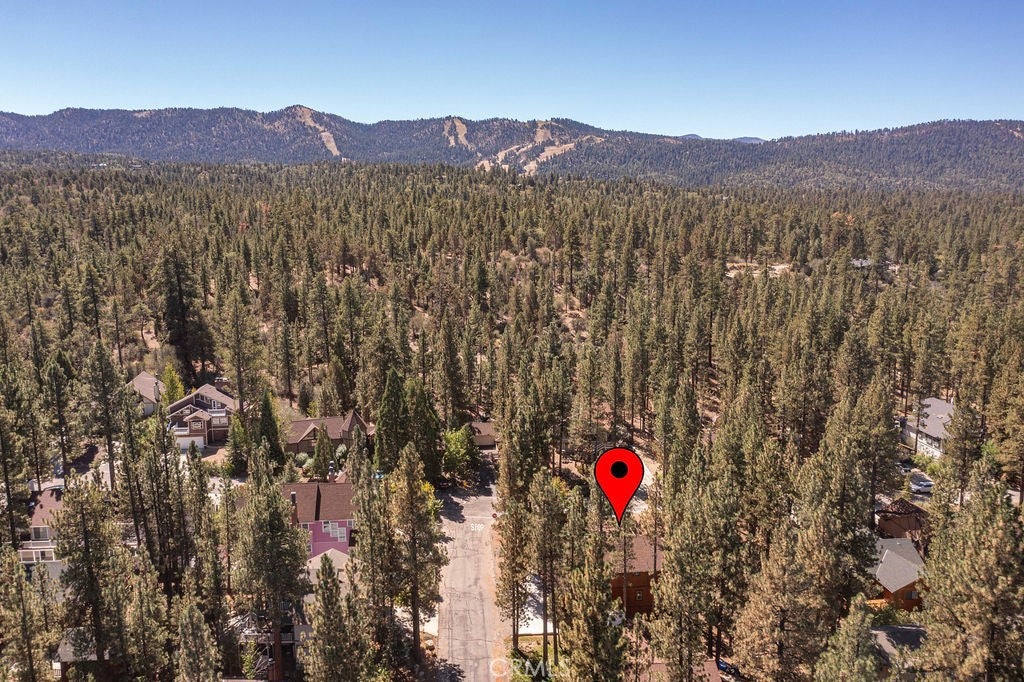 451 Pineview