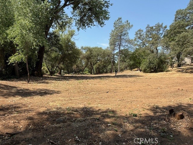 Lovely lot now available for your dream home. This nearly one acre lot has plenty of wide-open space to pick your perfect building spot, while still leaving plenty of room for ... barn, horses, goats, boats, pool or, whatever... you get the idea, there's lots of space. Recently cleared, boundaries well marked (pink flag tape). Although there is a paved private road access & a gravel driveway present, this parcel fronts Foothill Blvd should you choose to have a driveway directly off Foothill Blvd. Water & Sewer Utilities are available on Foothill.