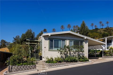 27703 Ortega 45 San Juan Capistrano CA 92675