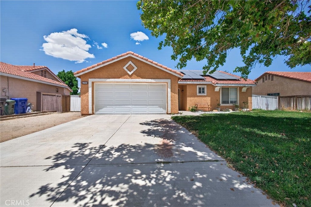 11052 Desert Rose