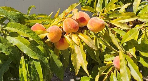 Tiny photo for 225 Lark Drive Dr, Paso Robles, CA 93446 (MLS # NS25214856)