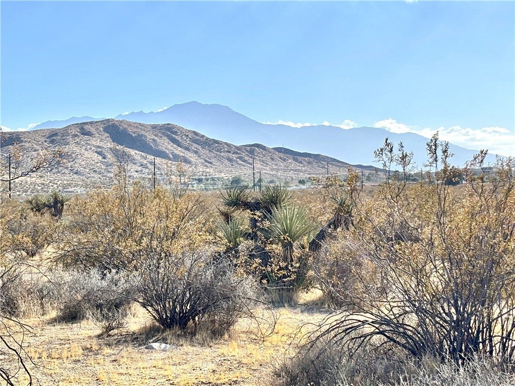 4321 Cheyenne Trail