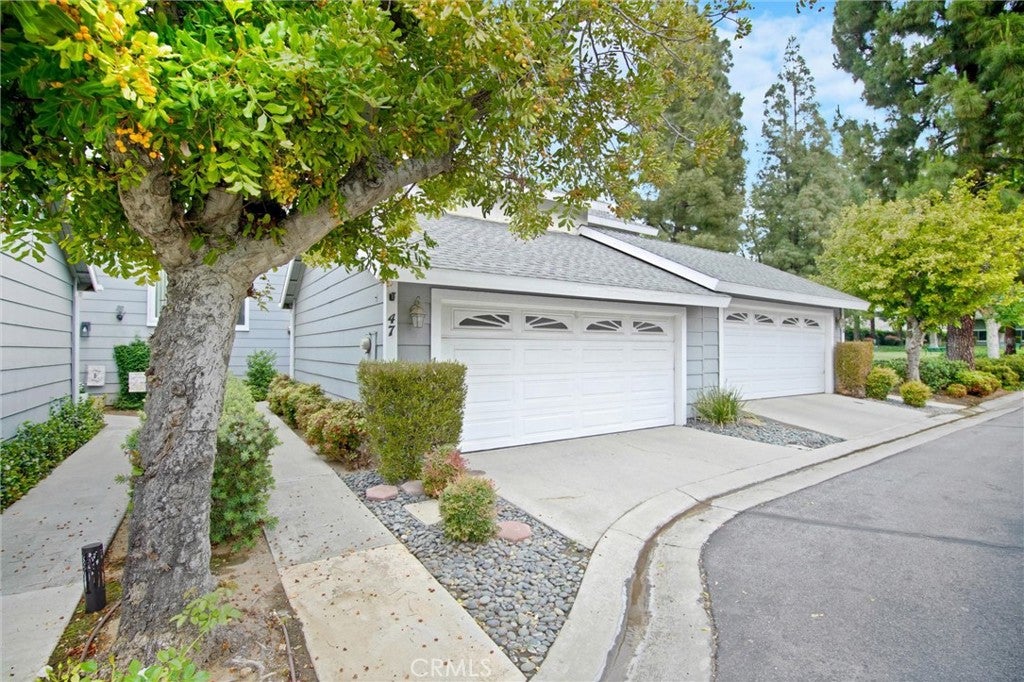 12168 Mount Vernon 47