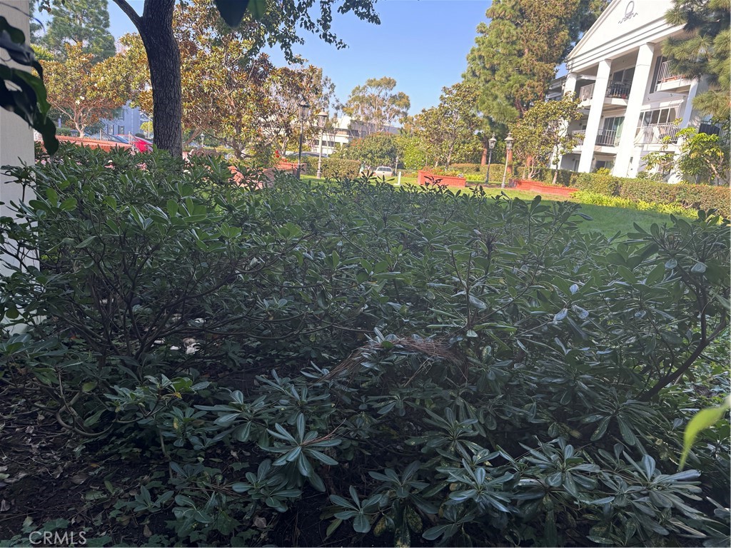 101 Scholz Plaza 123