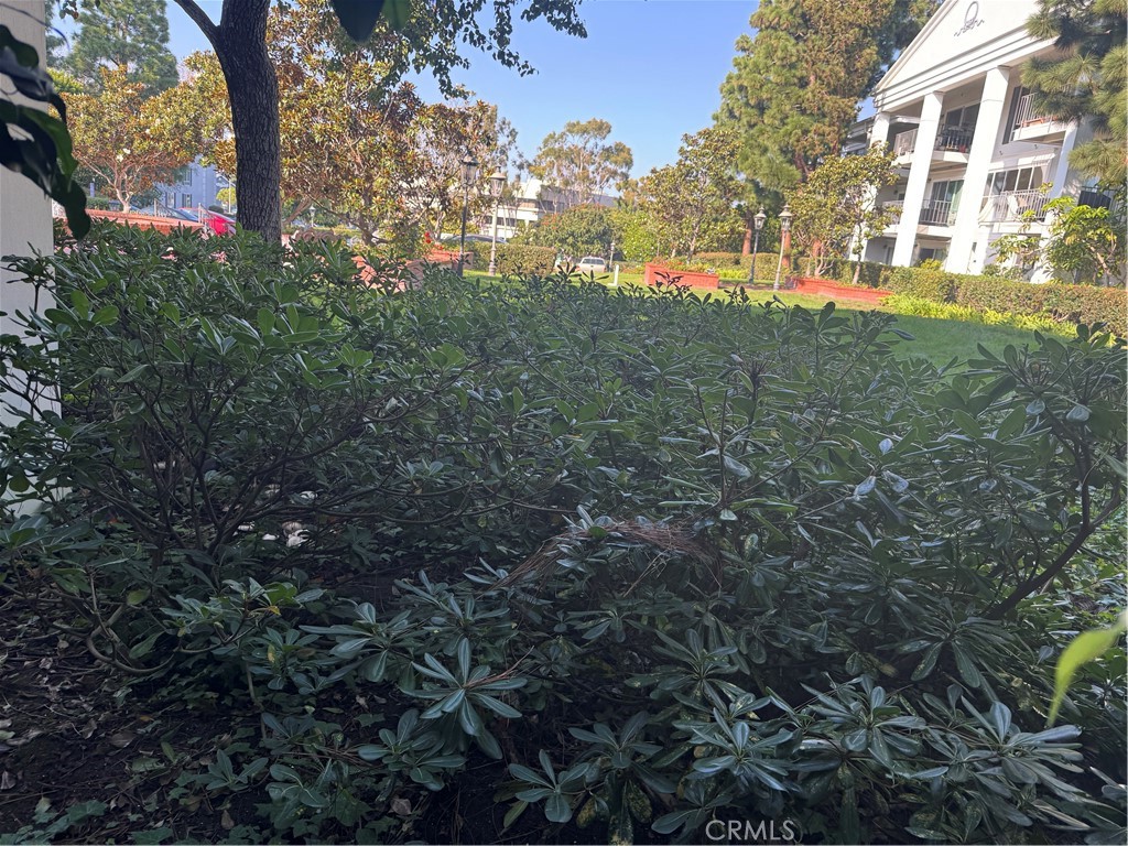 Versailles (VERS) - Residential