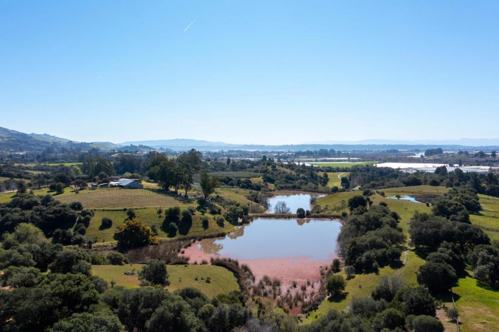 The dream of the small family farm rings true on this beautiful piece of property in the eastern Pajaro Valley foothills. Adjacent to Spring Hills Golf Course, this expansive 51+ acre property boasts 8+ acres of mature northern Italian varietal olive trees, 5+ acres of mature, premium varietal grape vines, 2 single level homes, a spacious hay barn, numerous outbuildings, corrals, as well as multiple spring fed lakes of over 2.5 acres each. These year round lakes provide irrigation water as well as fantastic family recreation potential. Add to that the spacious, big sky feel of these gorgeous coastal rolling hills, with Monterey Bay views and you have a beautiful opportunity to fulfill your dreams. Here you have the fertile lands, the decades of investment in infrastructure, abundant water, and the moderate coastal weather of Central California. Properties like this rarely become available, so act quickly to create your family legacy on this special piece of land.