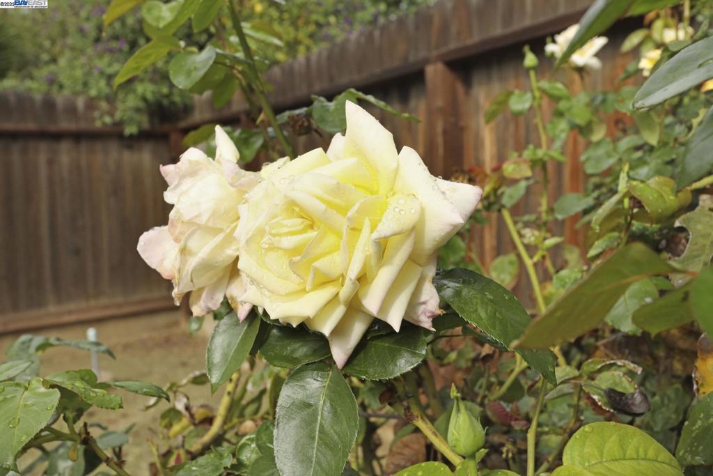 CIRCLE B RANCH - Residential