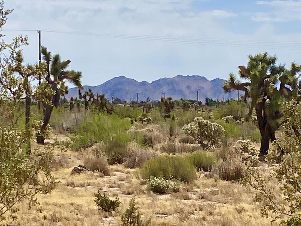 Not Applicable-1 - Land