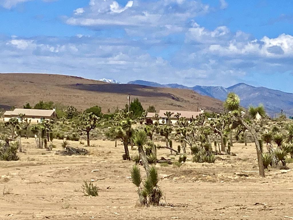 Not Applicable-1 - Land