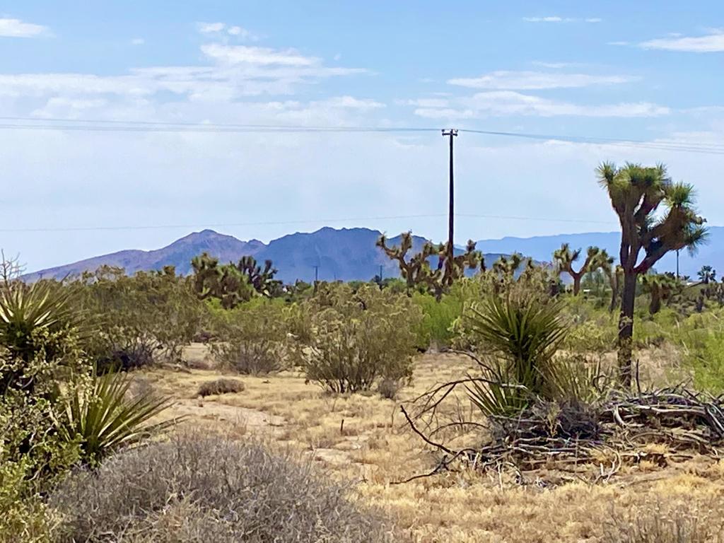 Not Applicable-1 - Land