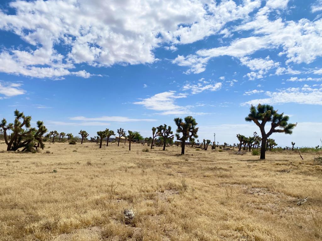 Not Applicable-1 - Land