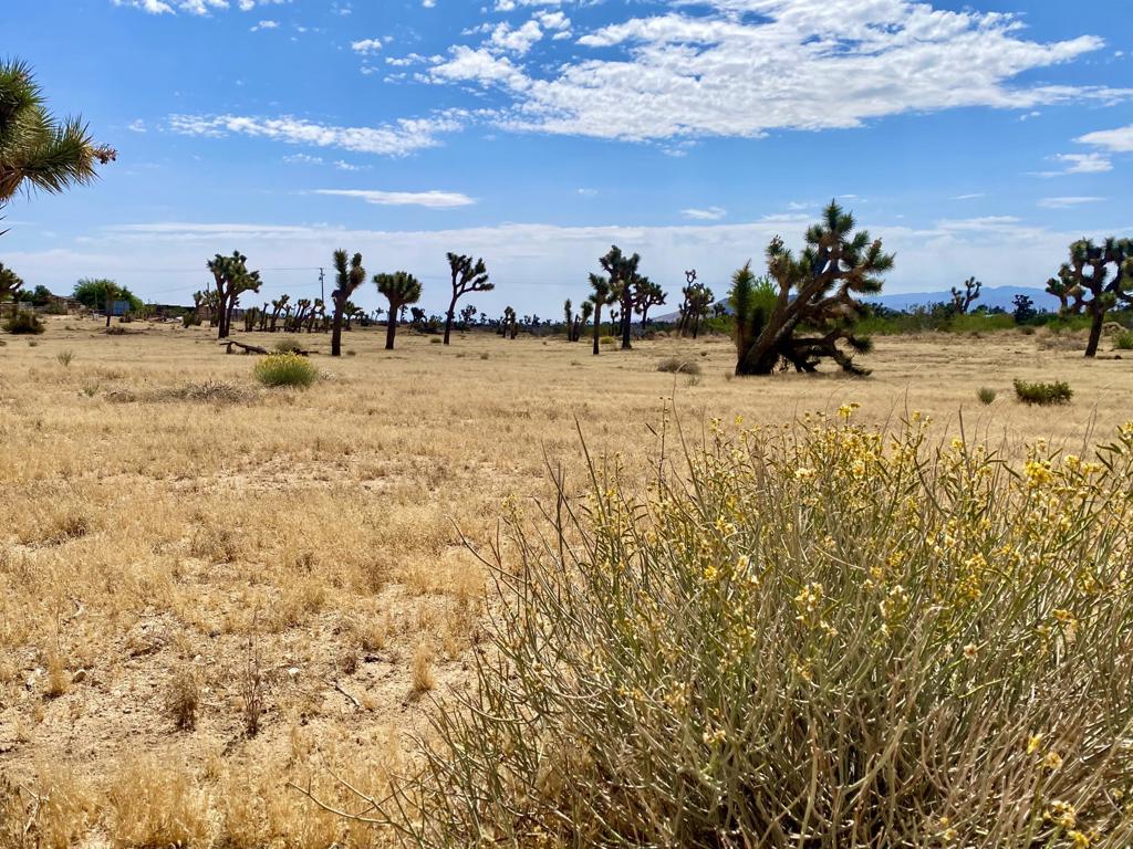 Not Applicable-1 - Land