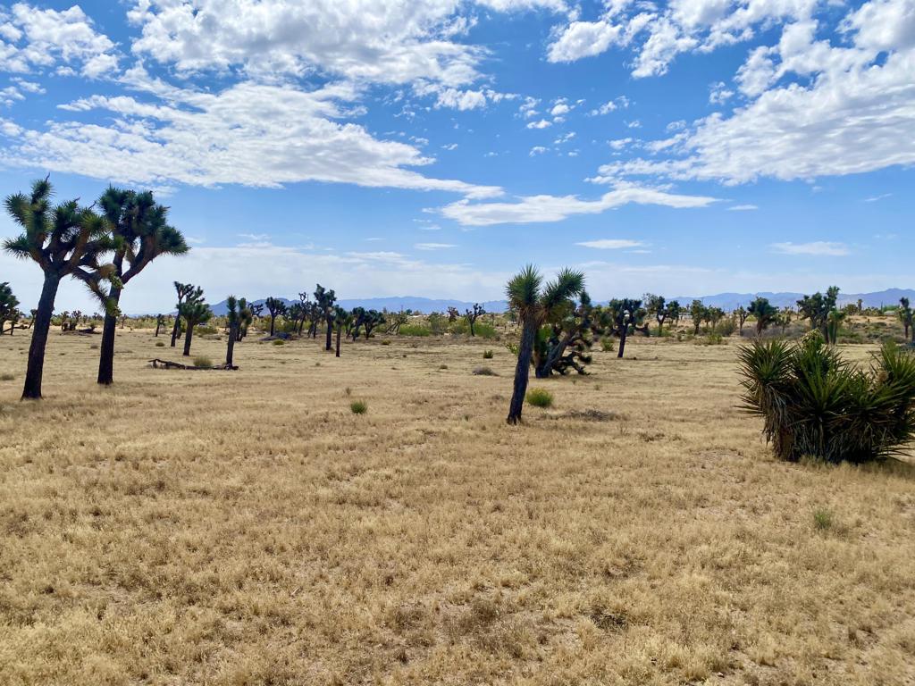 Not Applicable-1 - Land