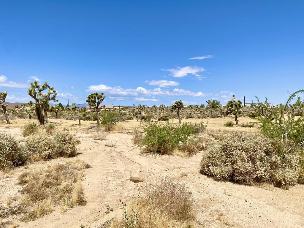 Not Applicable-1 - Land