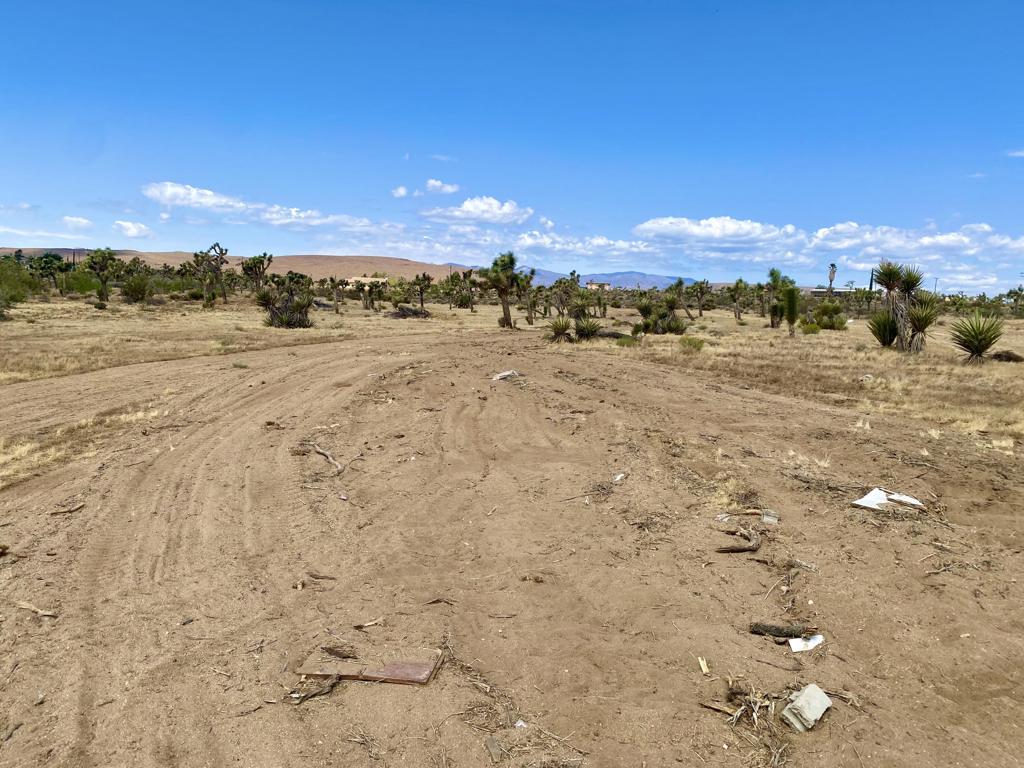 Not Applicable-1 - Land