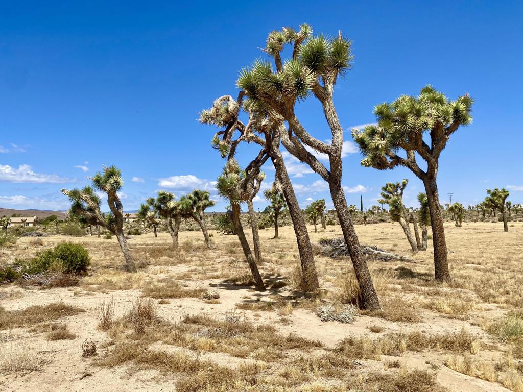 Not Applicable-1 - Land