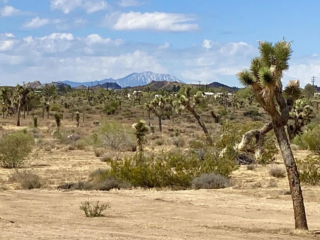 Not Applicable-1 - Land