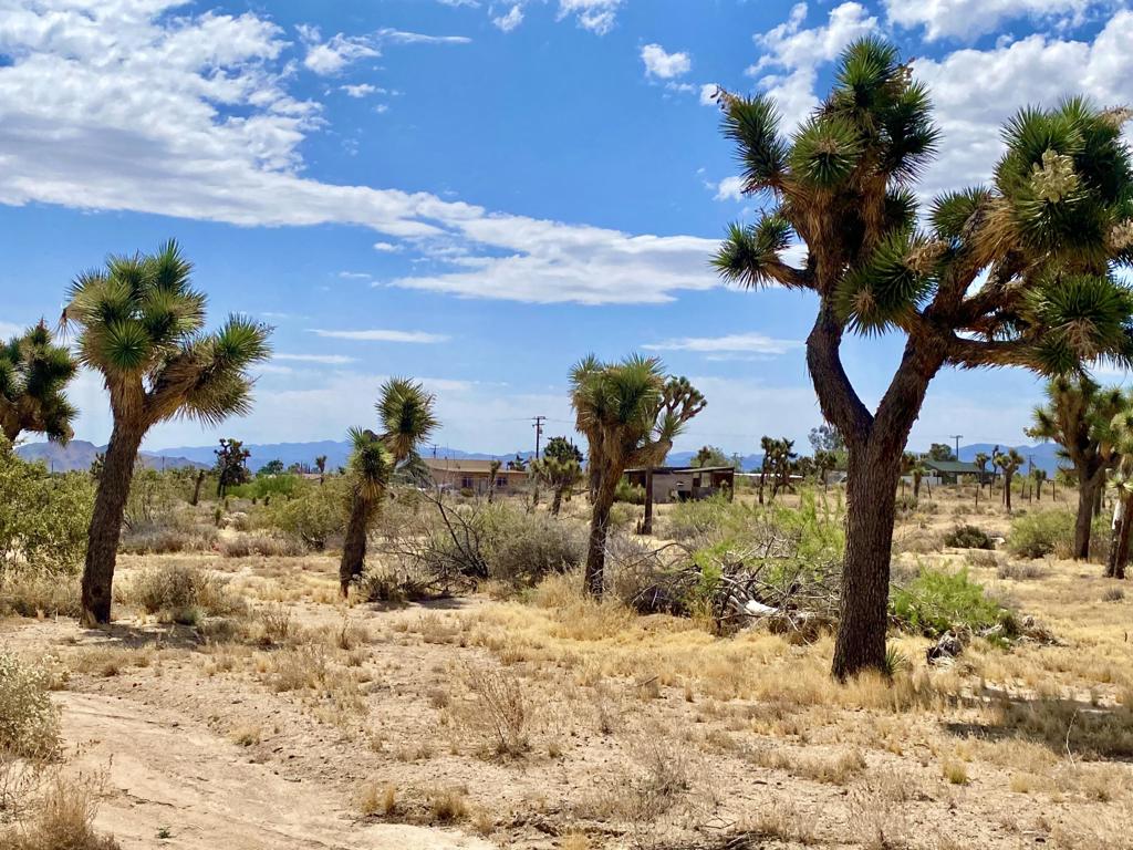 Not Applicable-1 - Land