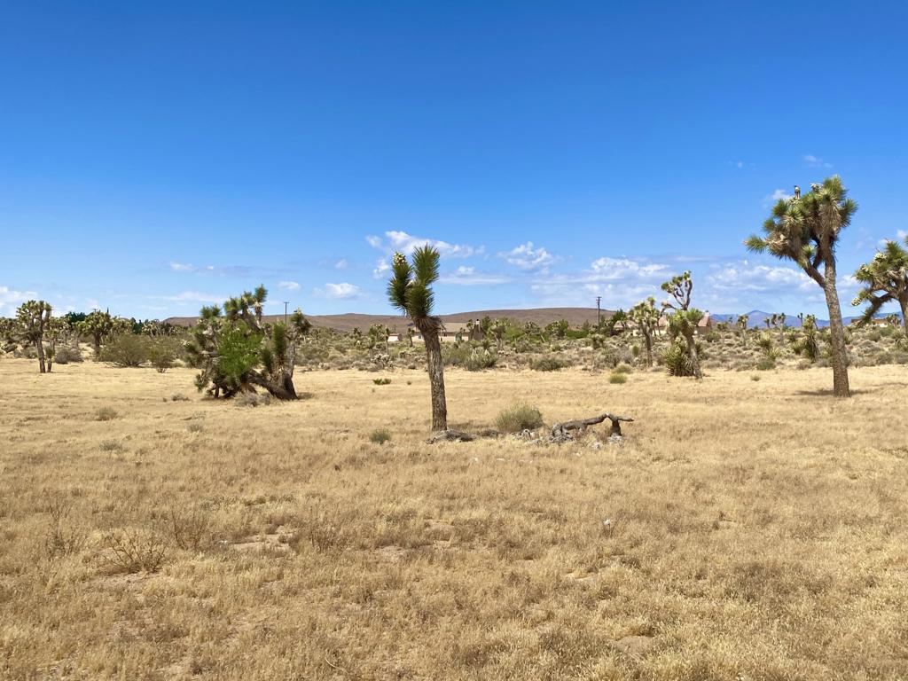 Not Applicable-1 - Land