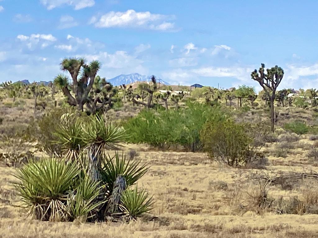 Not Applicable-1 - Land