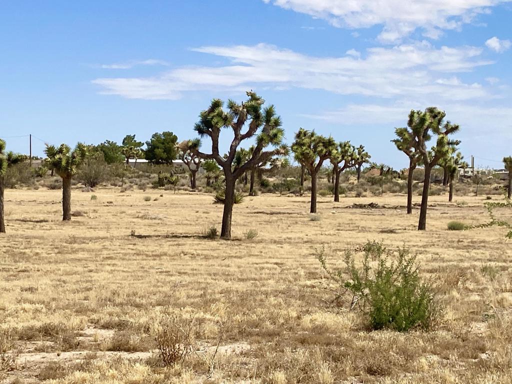 Not Applicable-1 - Land